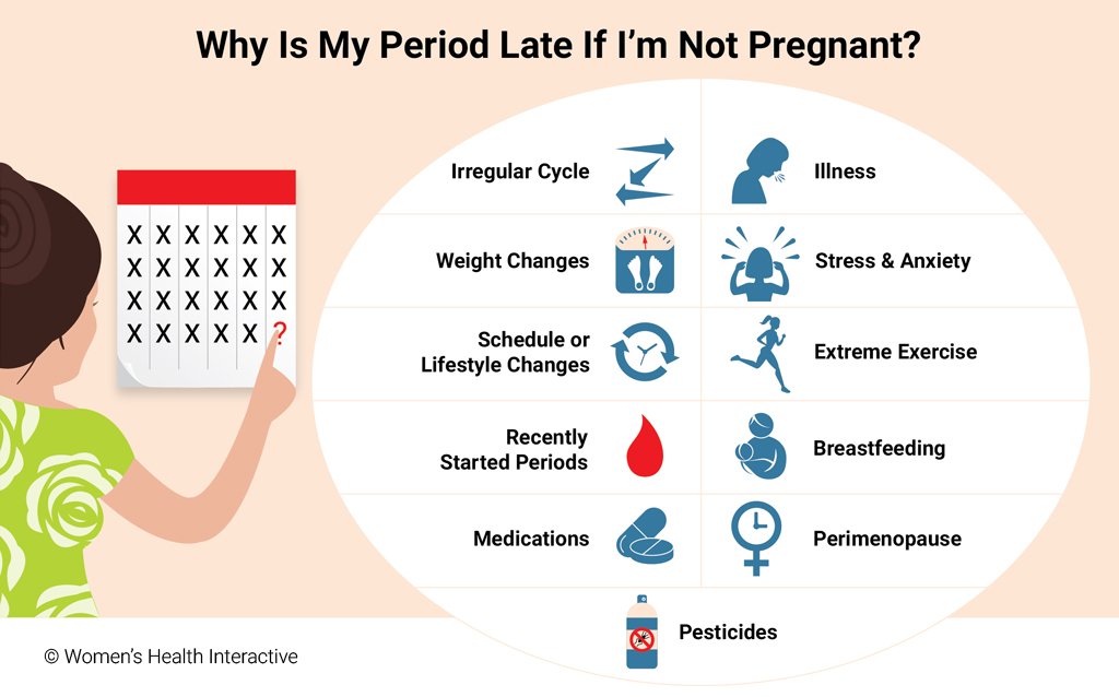 11 Reasons Why My Period Is Late