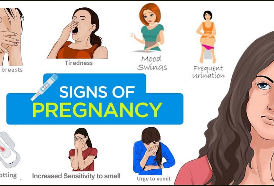 17 Early Pregnancy Symptoms Before Missed Period  Suis ...