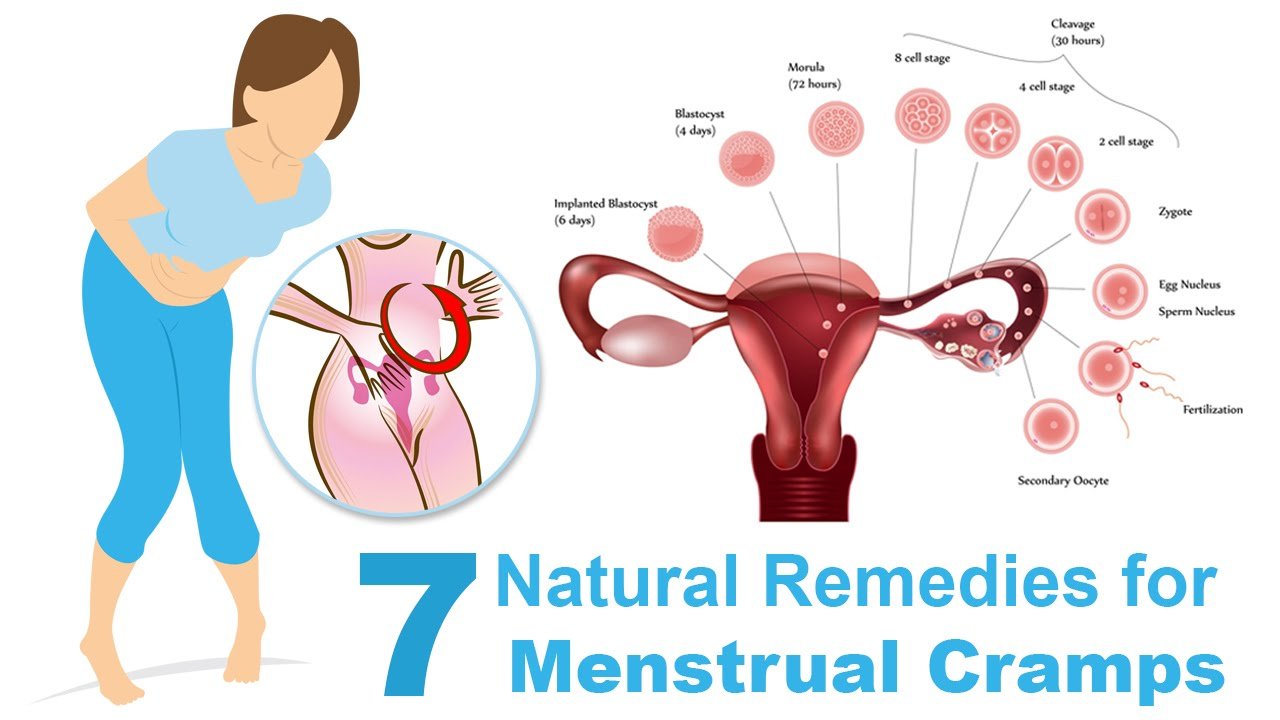 7 Natural Remedies for Menstrual Cramps