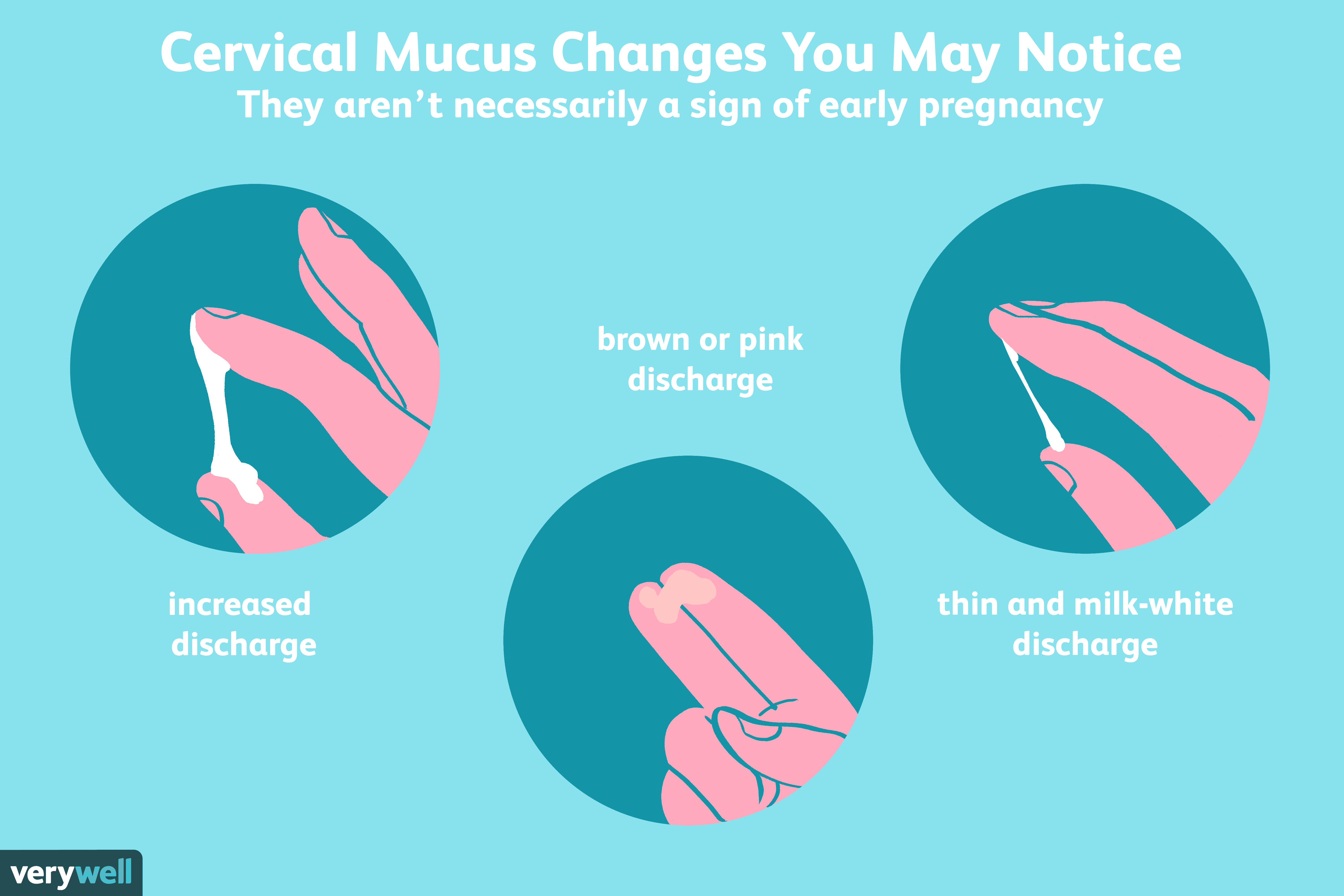 Can Cervical Mucus Help You Detect Early Pregnancy?