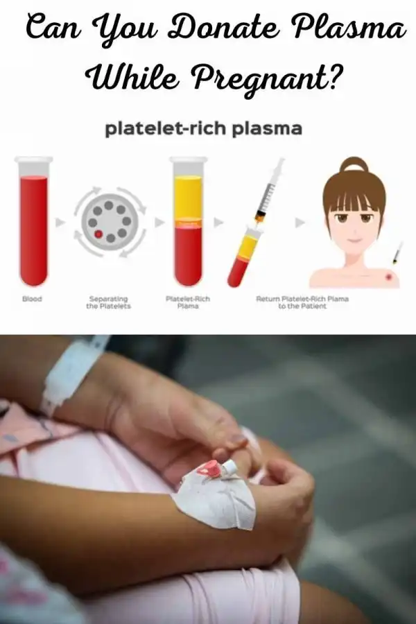 Can You Donate Plasma When Pregnant
