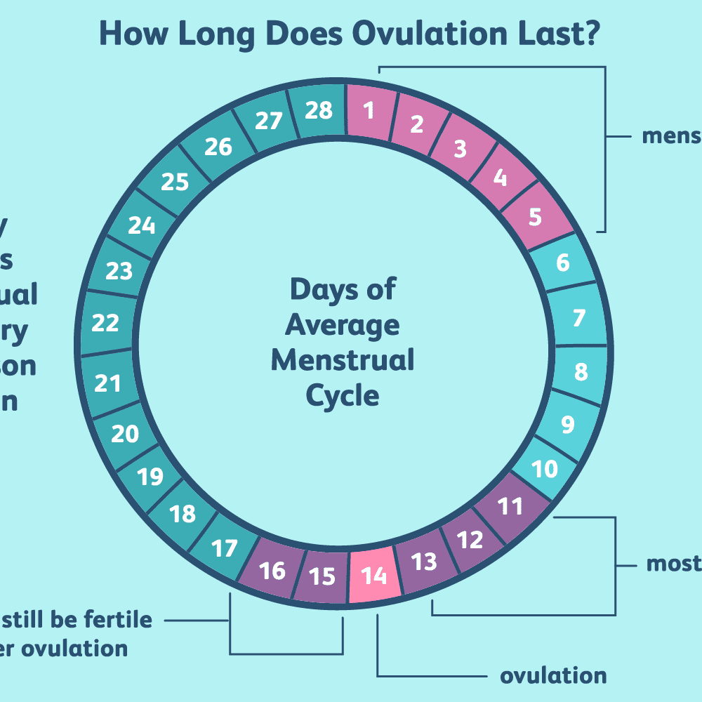Can you get pregnant 2 days before ovulation