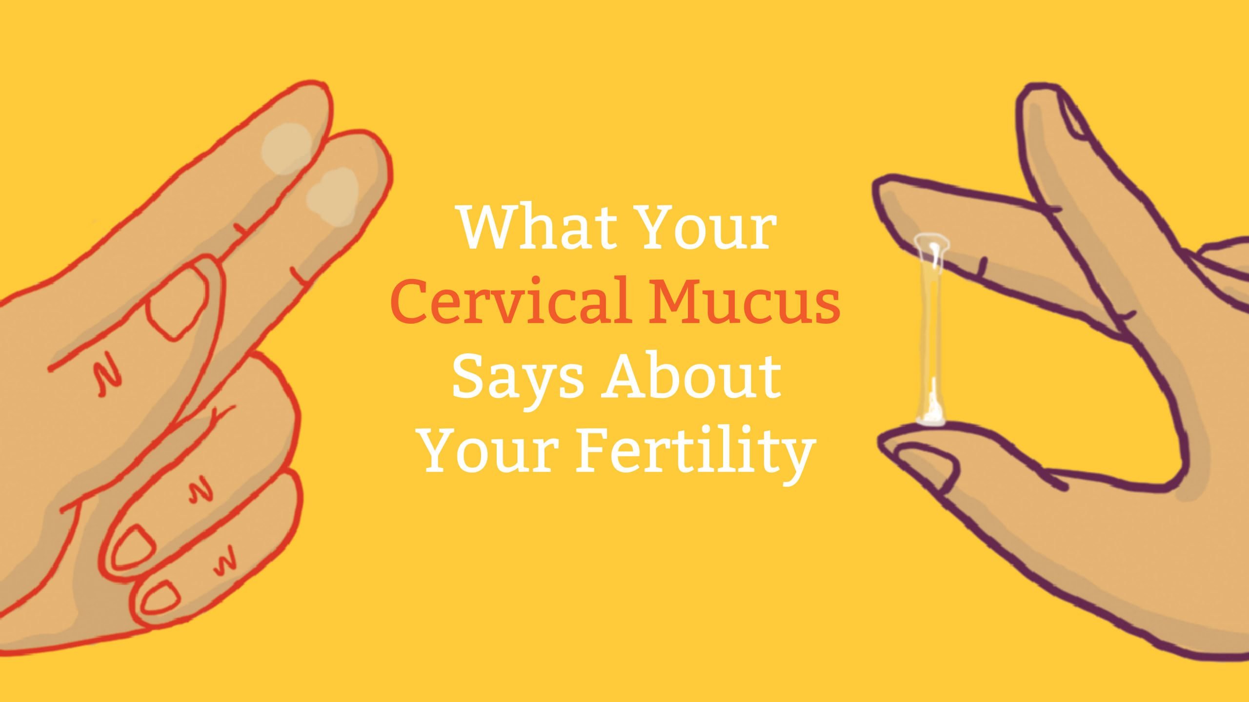 Cervical Mucus Chart: Know When You