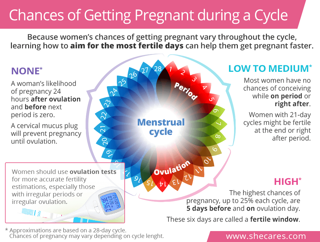 Chances of Getting Pregnant Around Period and Ovulation ...