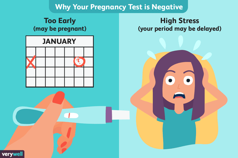 False Negative Pregnancy Test? Missed Period, Negative ...