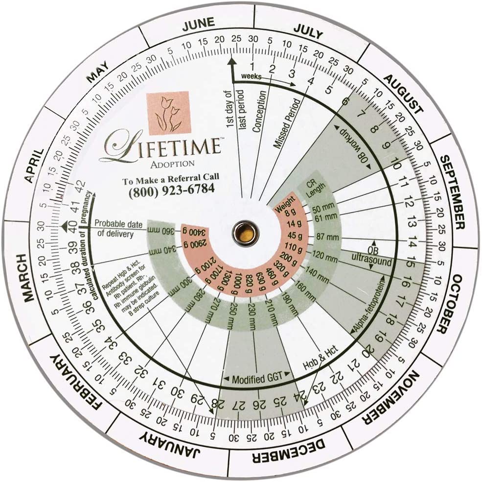 Колесо беременности. Калькулятор беременности.