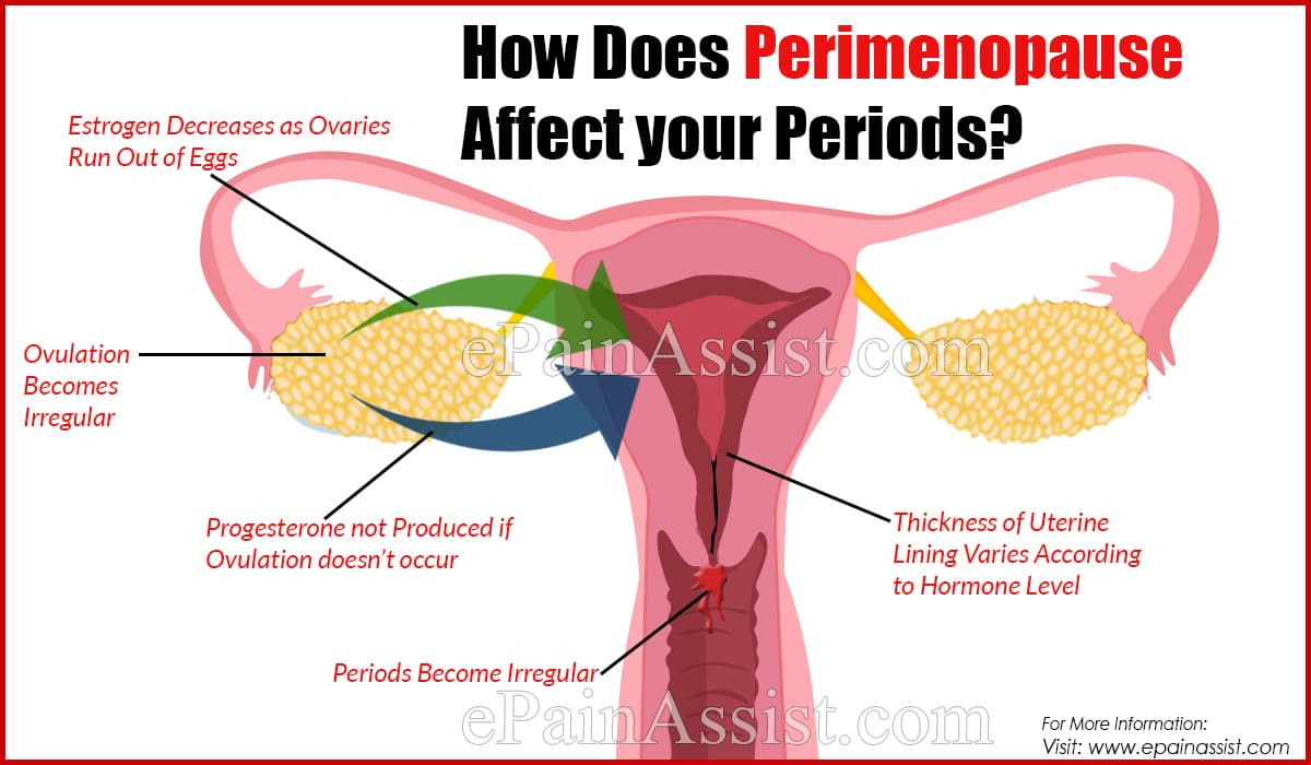 How Does Perimenopause Affect your Periods &  What You Can ...