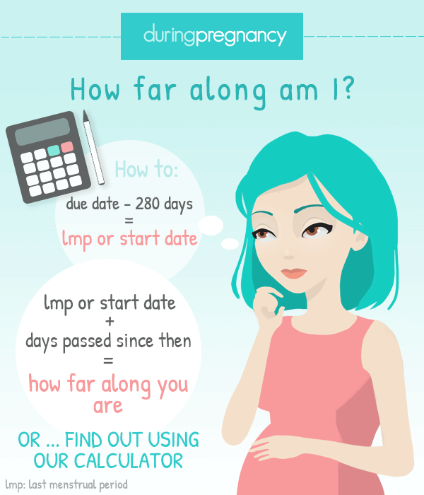 How Far Along Am I? Pregnancy Calculator: How Many Weeks ...