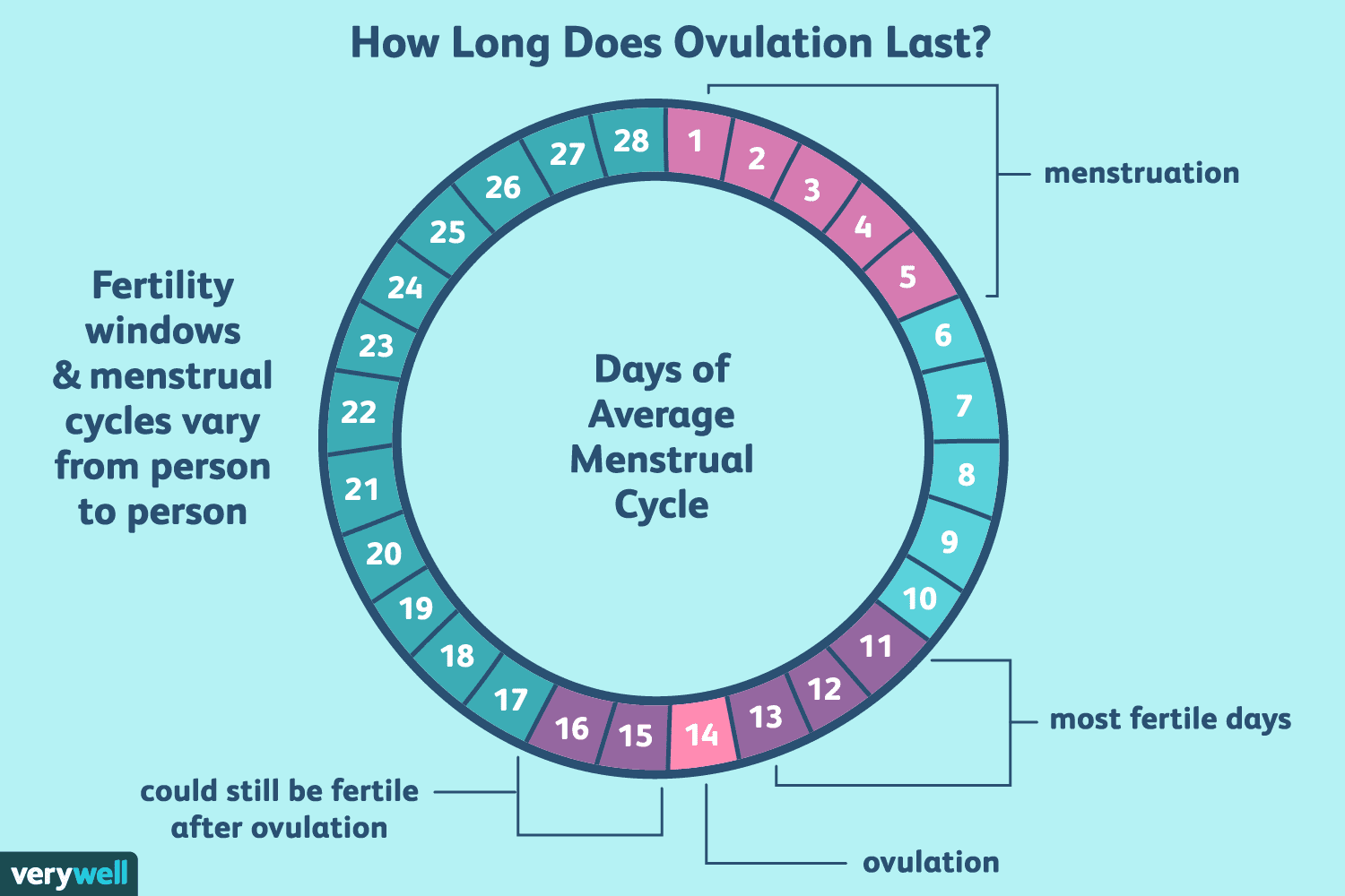 Time last this long. Менструальный цикл. Месячные цикл. Фертильные дни у женщин. Период овуляции.