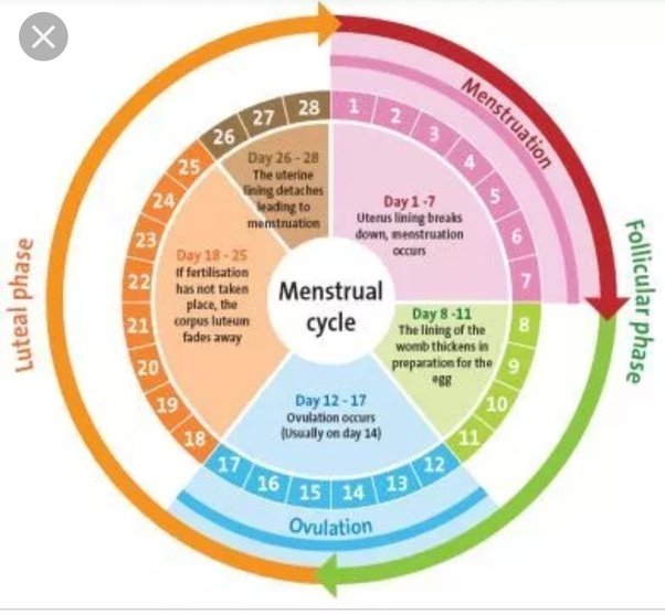 How many days after period do you ovulate MISHKANET.COM
