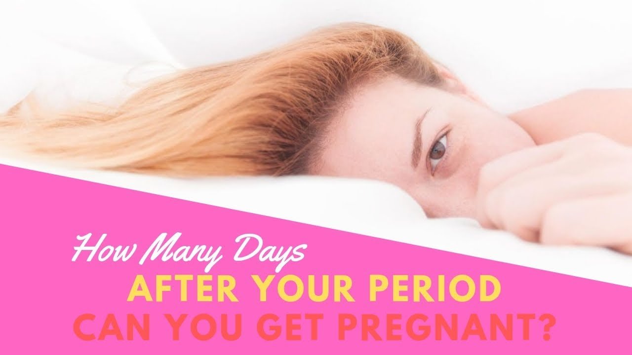How Many Days After Your Period Can You Get Pregnant? How ...