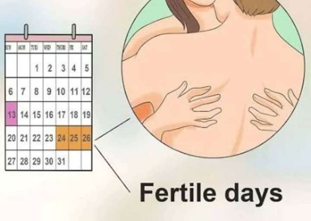 How Many Days In Between Your Menstrual Cycle