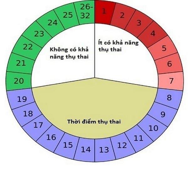 How to calculate a girls birth according to the menstrual cycle ...