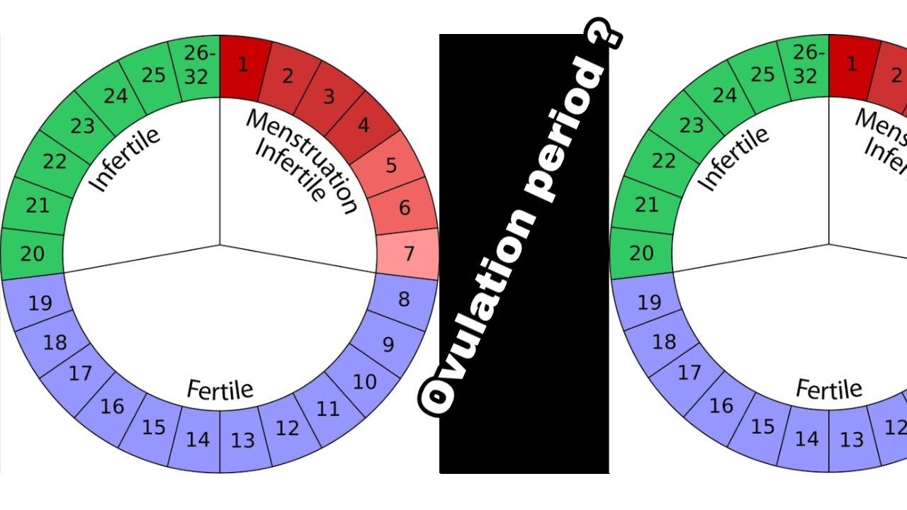 how to calculate ovulation period shikakutoru info