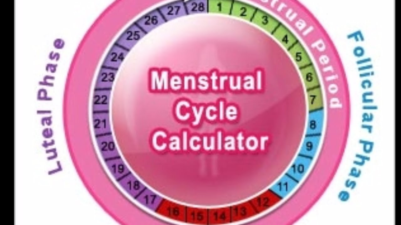 How to calculate the length of your menstrual cycle