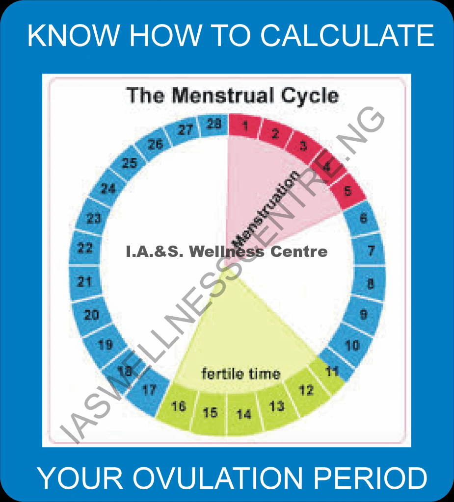 HOW TO CALCULATE YOUR OVULATION PERIOD â I.A.S Wellness Centre