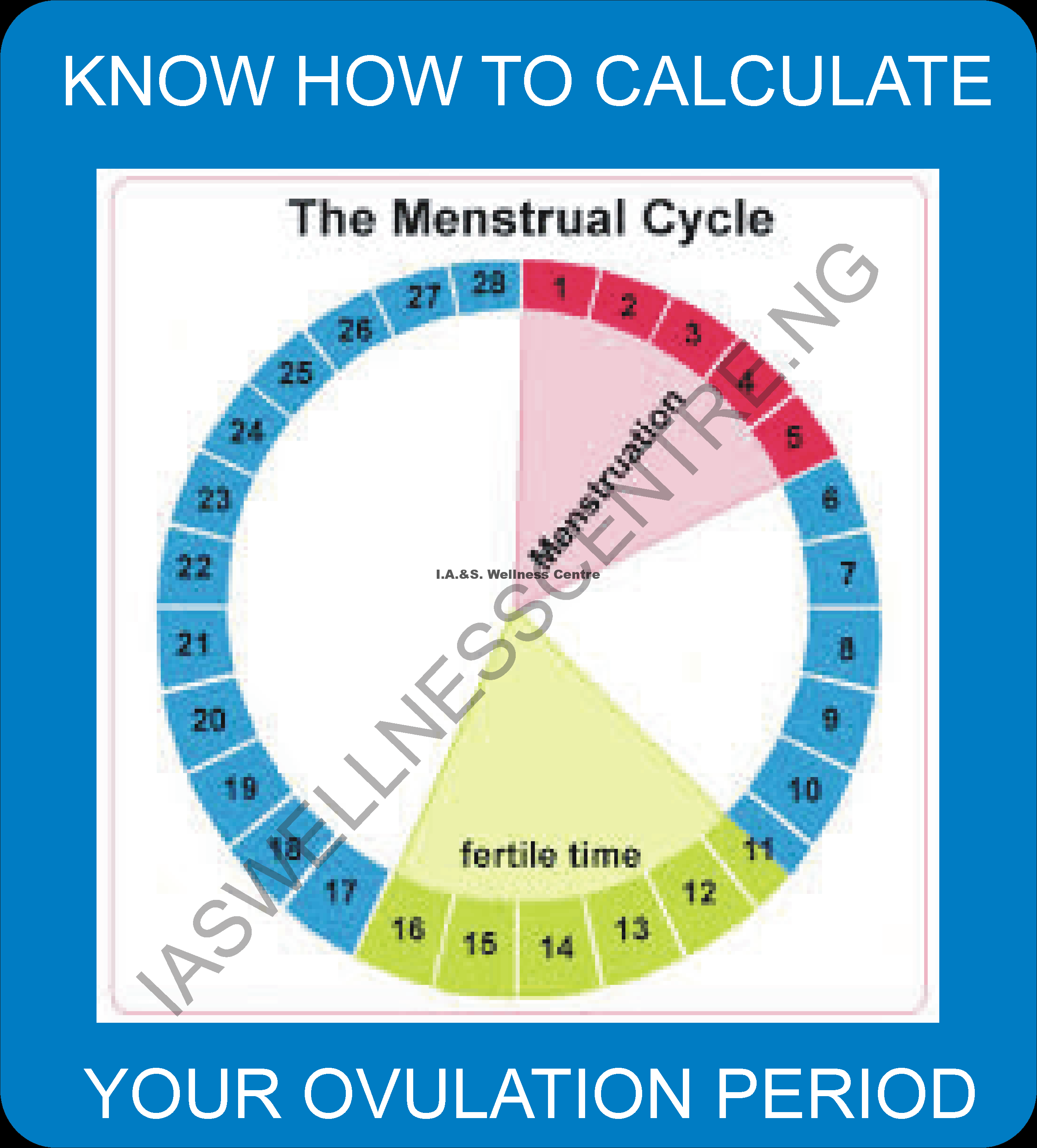 HOW TO CALCULATE YOUR OVULATION PERIOD  I.A.S Wellness Centre