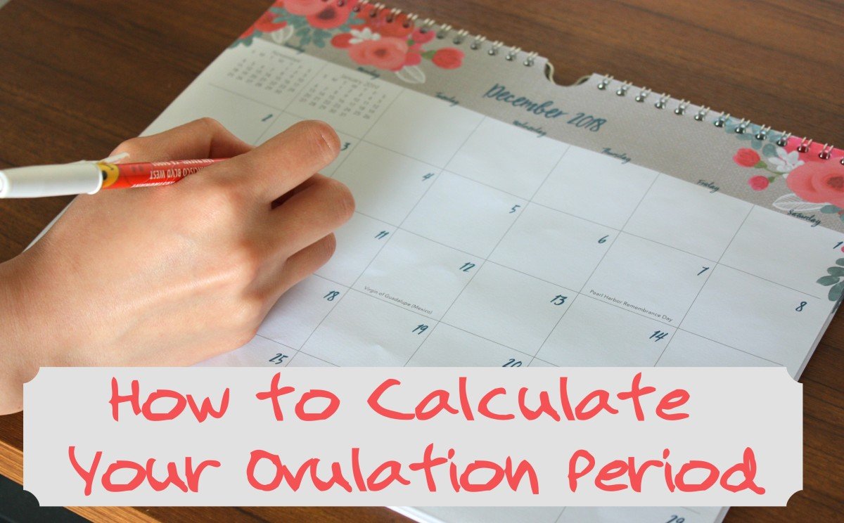 How to Calculate Your Ovulation Period Using Your Menstrual Cycle ...