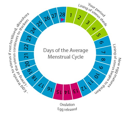 How To Get Ovulation Without Going To Fertility Clinic?