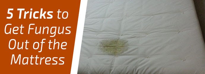 How To Get Stains Out Of Mattress
