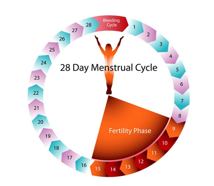 Is It Normal Having Period Twice in One Month?