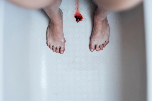 LifeStory Health wants to test your period blood for ...