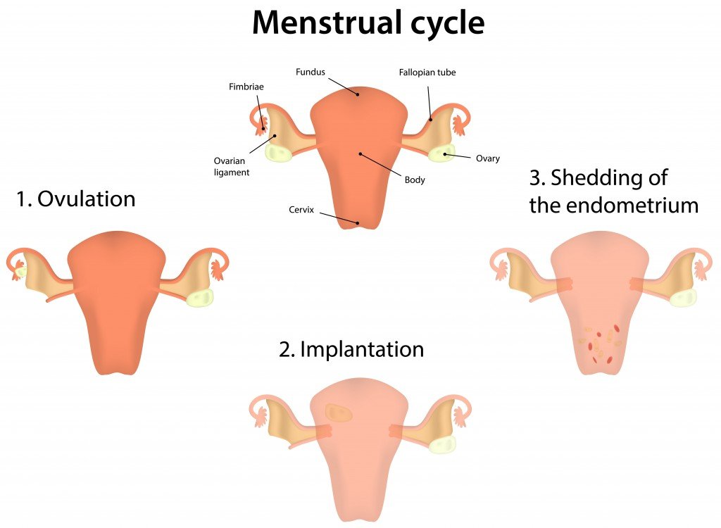 Natural Menstrual Cramp Remedies: Severe Menstrual Cramp ...