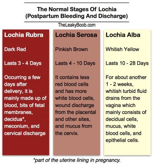 Normal Postpartum Bleeding and Discharge and the Return of Your Period ...