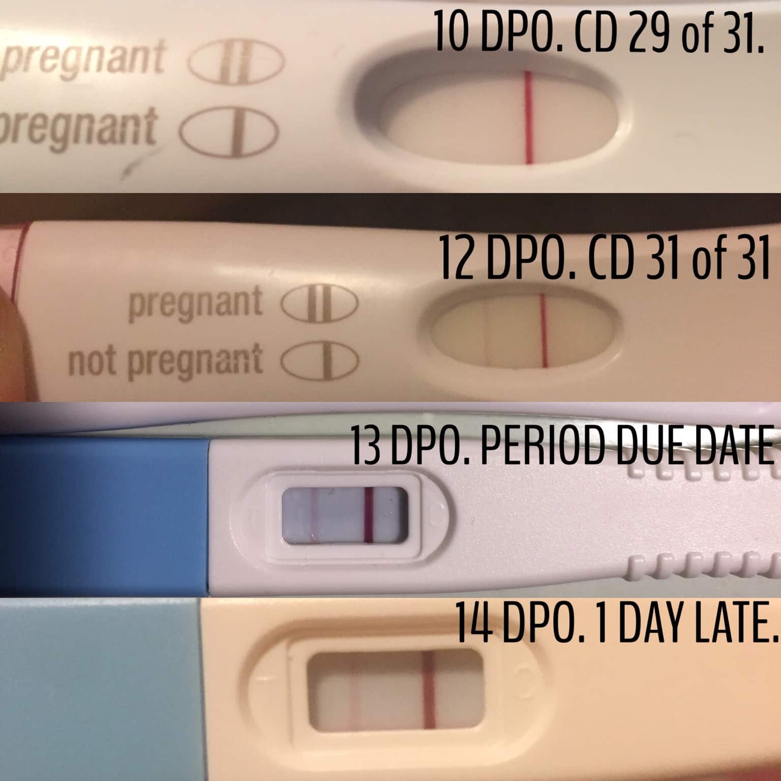 Pregnancy Test Before Due Date