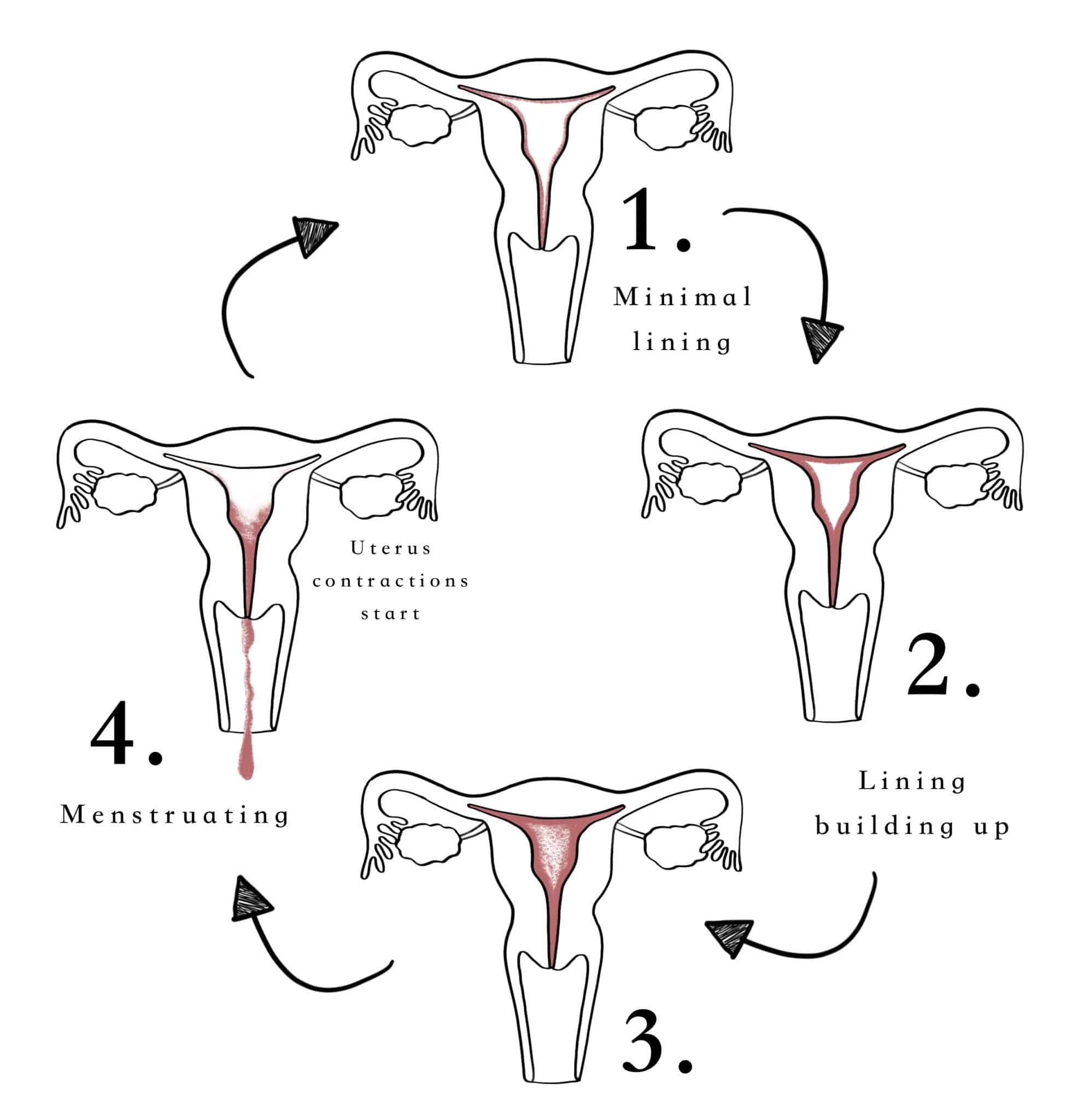 Q& A: Nine commonly asked questions about Periods