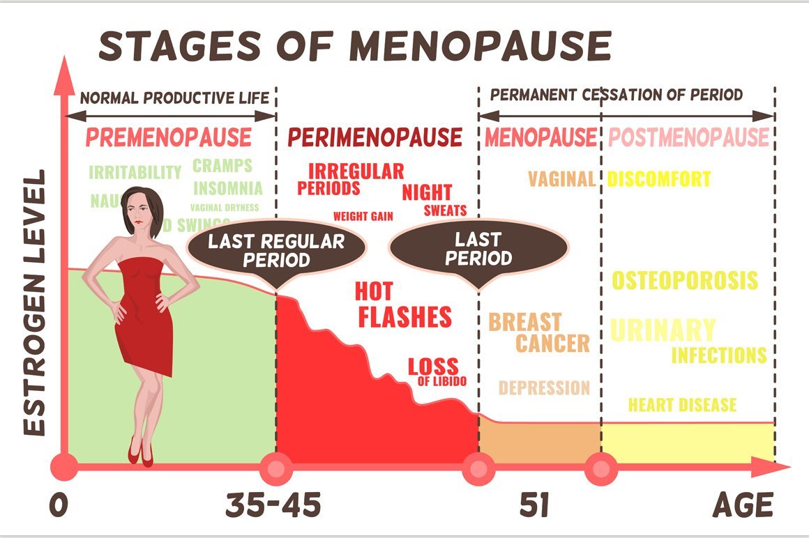 Stages and symptoms of menopause ~ Illustrations ...