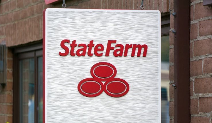 State Farm Grace Periods Explained in Clear Language (All Types Shown ...
