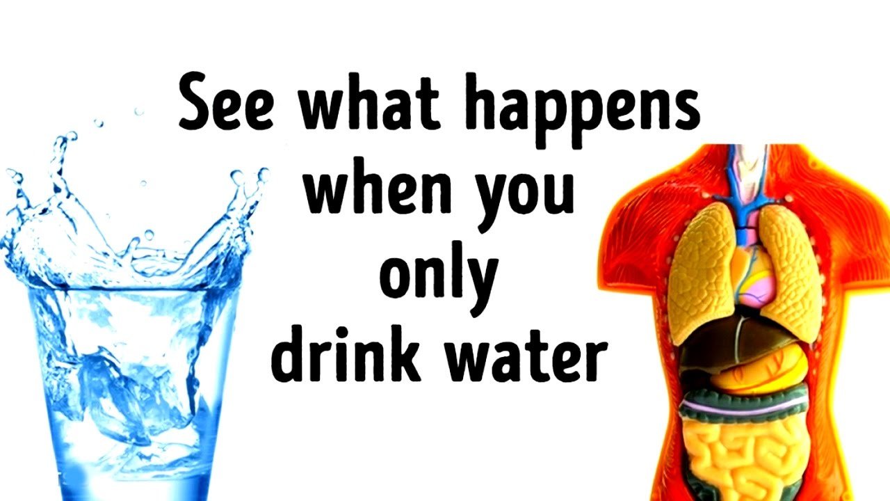 What Would Happen If You Replaced All Drinks with Water ...