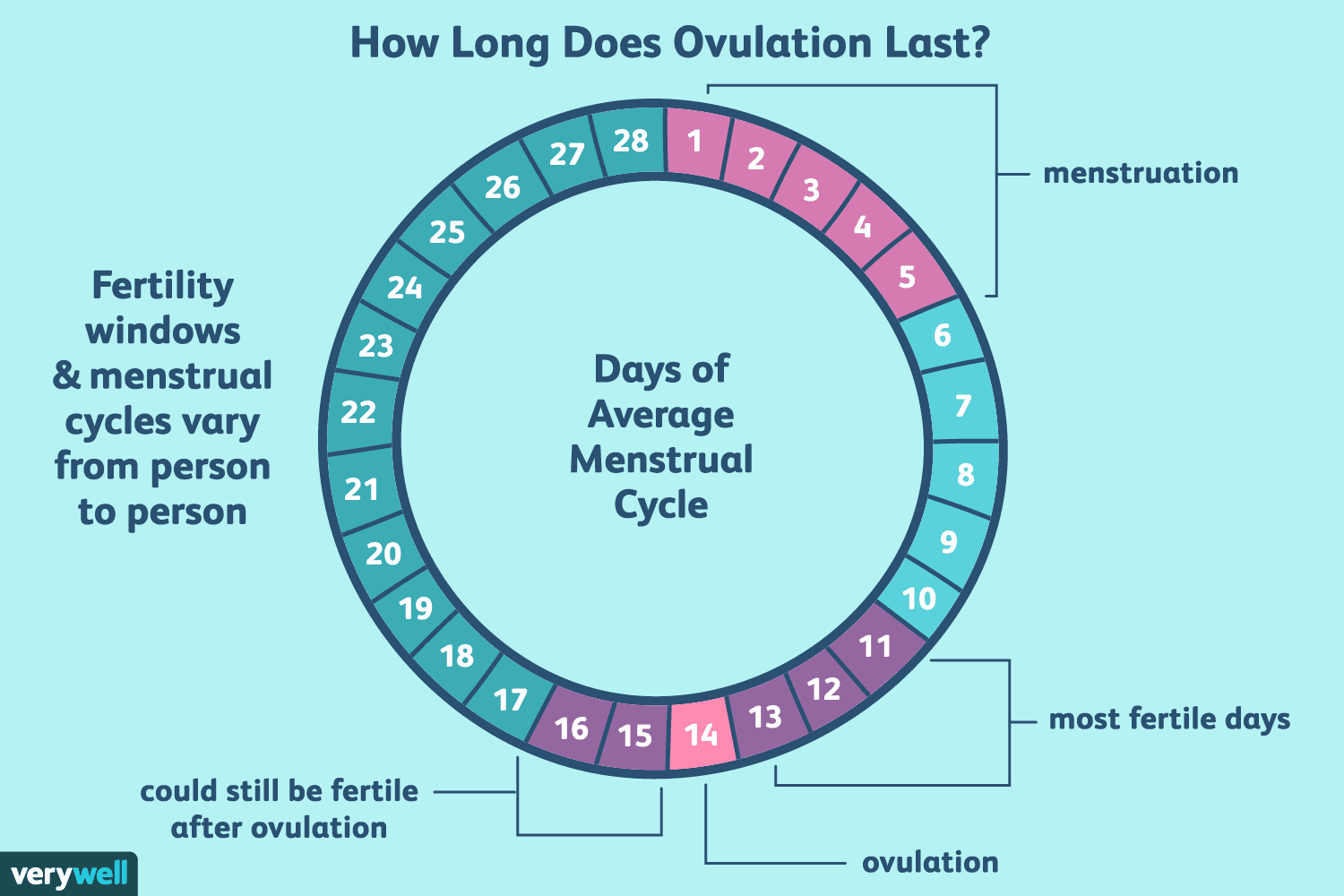 Why you need to track your ovulation cycle if youre trying for a ...