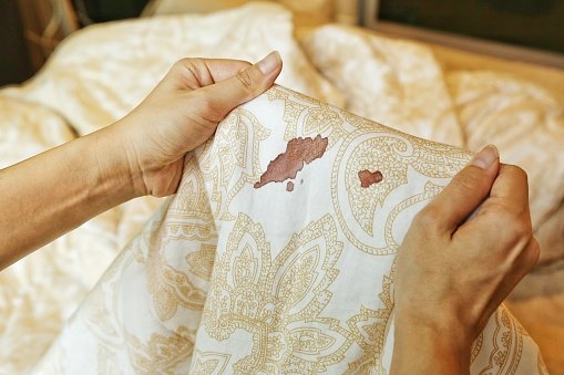 Women Hold Bed Sheet With Period Blood Spot Stains On Blur ...